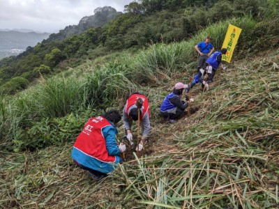 研揚科技參與森林永續行動，與羅東林管處建立多元夥伴關2